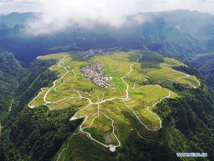 Bird's-eye view of farmland and villages in Guizhou(1/5)
