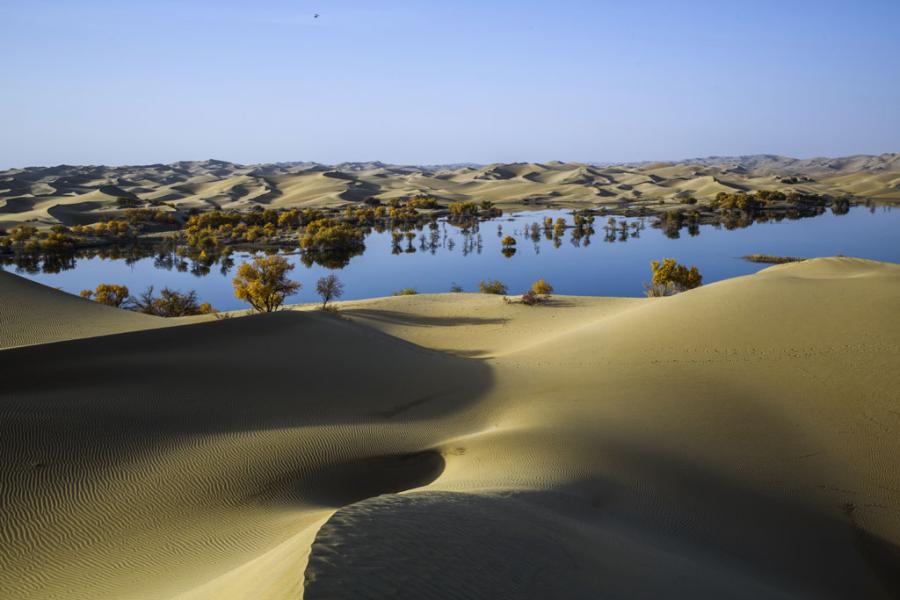 Desert reservoir improves ecological environment in Xinjiang(1/7)