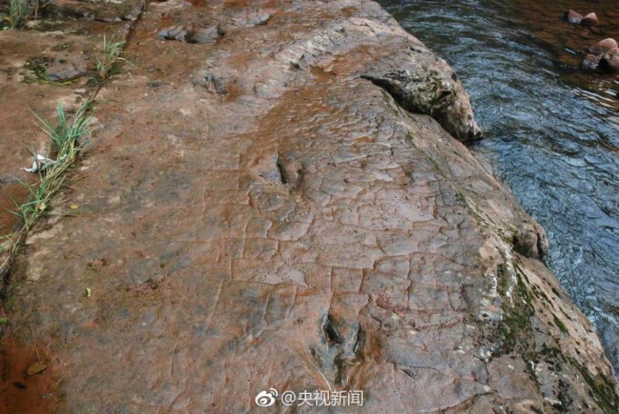 68 dinosaur footprints found in southwestern valley(1/7)