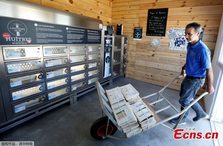 French oysters go on sale in vending machines(1/9)