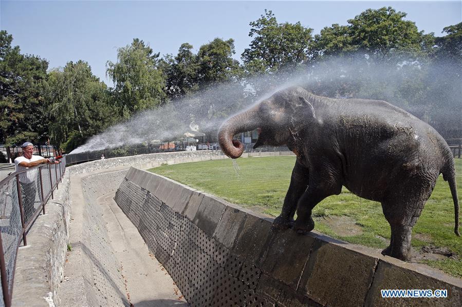 Heat wave hits Serbia(1/7)