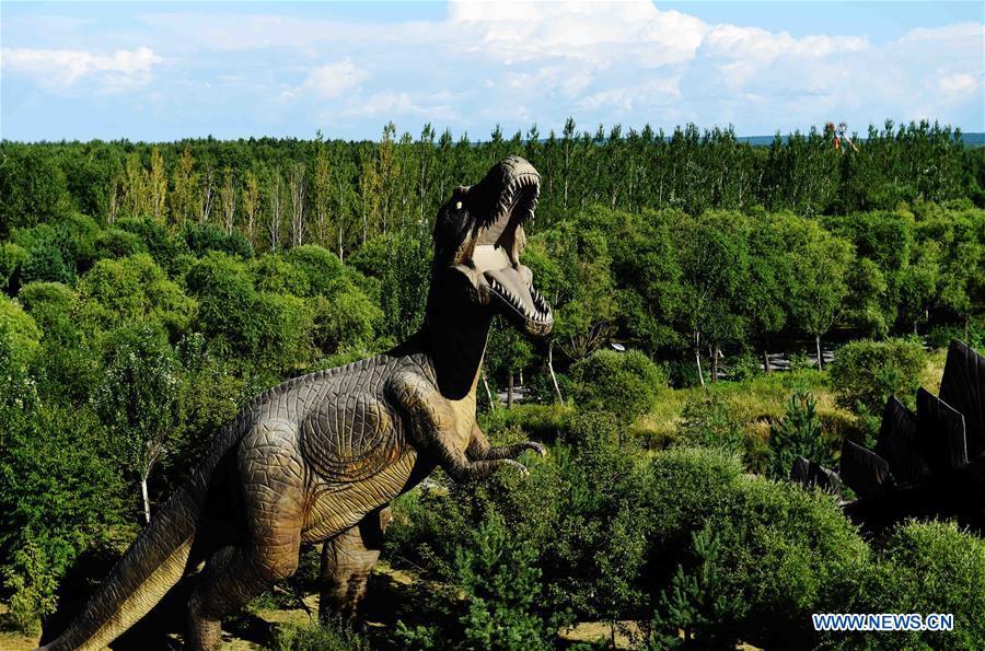 Dinosaur National Geology Park in NE China(1/11)