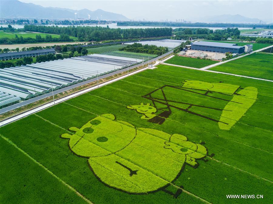 E China's Fuyang strives to develop rural tourism industry(1/5)