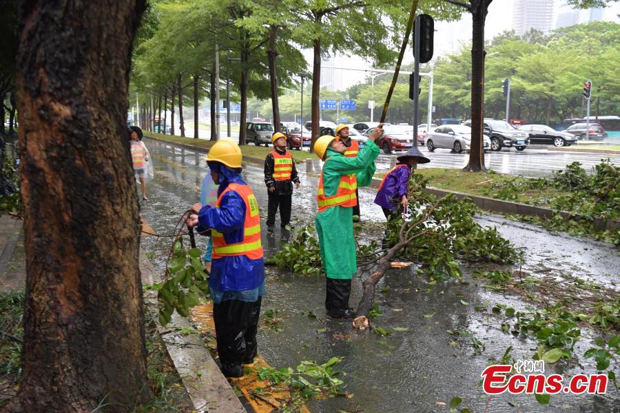 Shenzhen braces for tropical storm Hato(1/5)