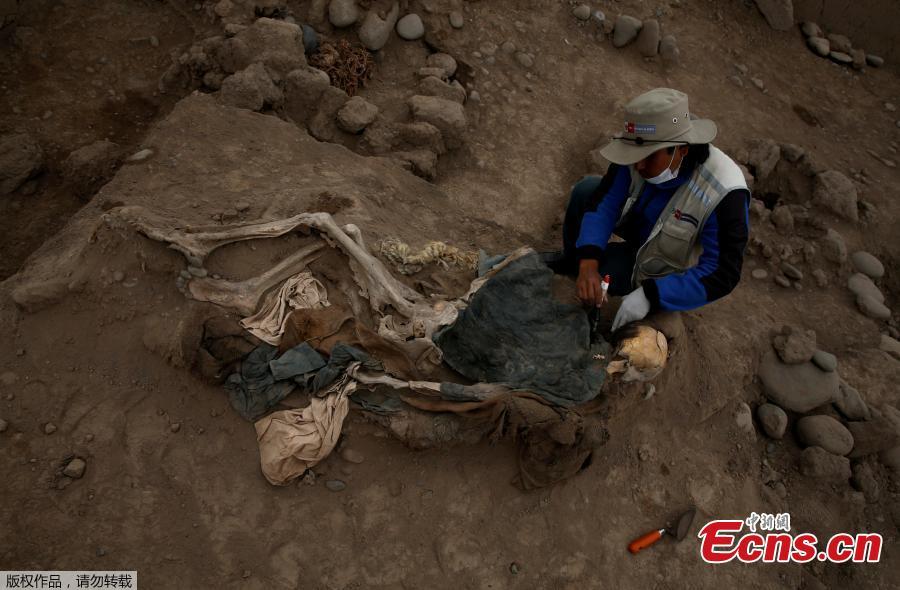 Peru discovers bodies of 16 Chinese migrants in pre-Incan tomb(1/4)