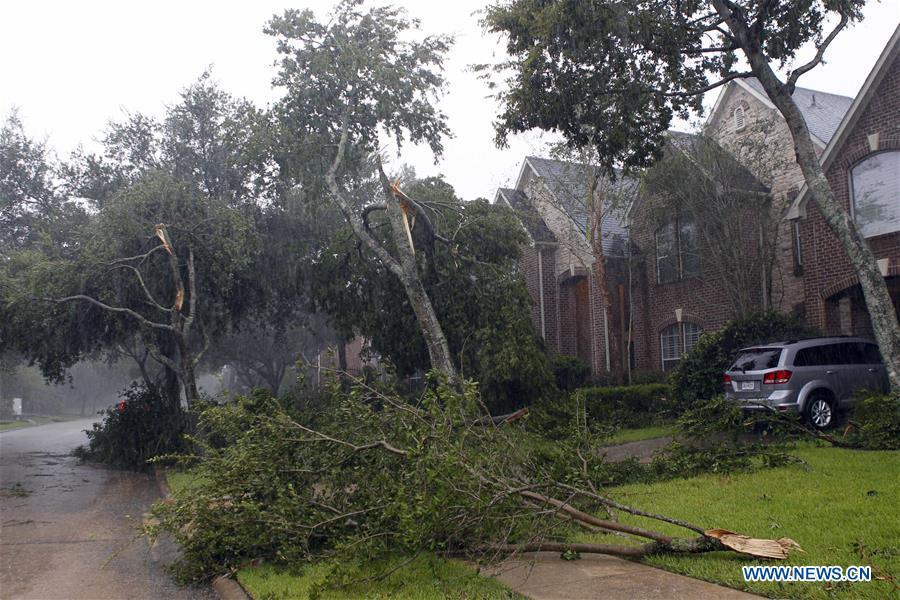 Hurricane Harvey made landfall over Texas Gulf Coast(1/8)