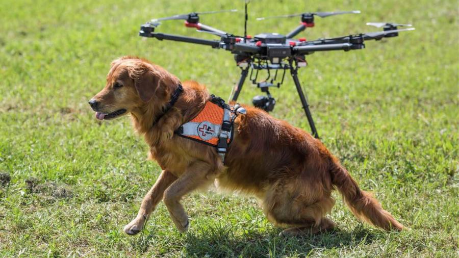 Drones fly with rescue dogs to find the missing in the Swiss Alps(1/4)