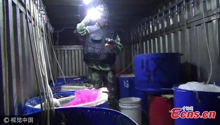 7 caught for smuggling over $100 million hidden in aquatic products(1/3)