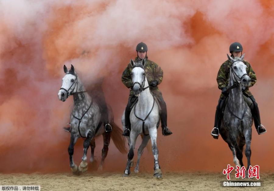 Dutch cavalry in stress test for parade (1/5)