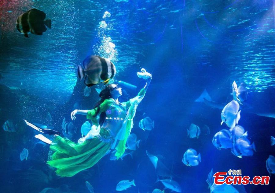 ‘Goddess of the Moon’ show underwater to woo tourists(1/3)