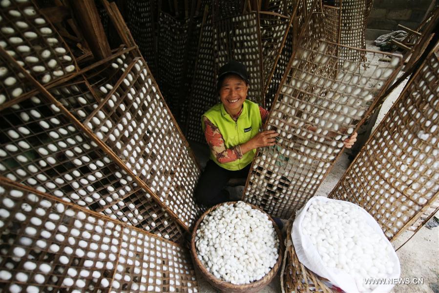 Farmers welcome harvest season across China(1/9)