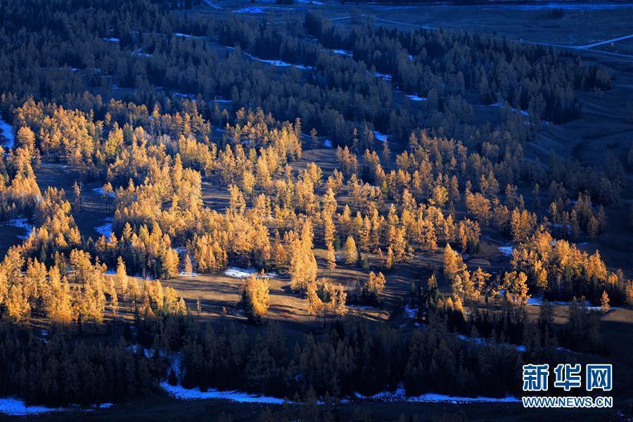 Photos taken on Oct.13 and 14, 2017 show the beautiful autumn scenery in the Kanas scenic area, Xinjiang Uygur Autonomous Region. Kanas boasts a beautiful natural landscape of lakes, rivers, glaciers, forests, and grasslands. (Photo/Xinhua)