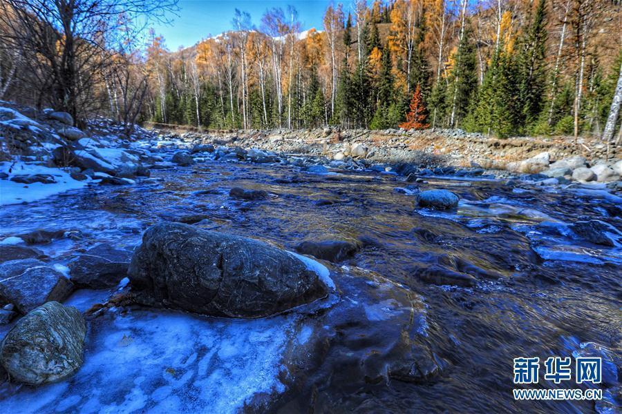 Photos taken on Oct.13 and 14, 2017 show the beautiful autumn scenery in the Kanas scenic area, Xinjiang Uygur Autonomous Region. Kanas boasts a beautiful natural landscape of lakes, rivers, glaciers, forests, and grasslands. (Photo/Xinhua)