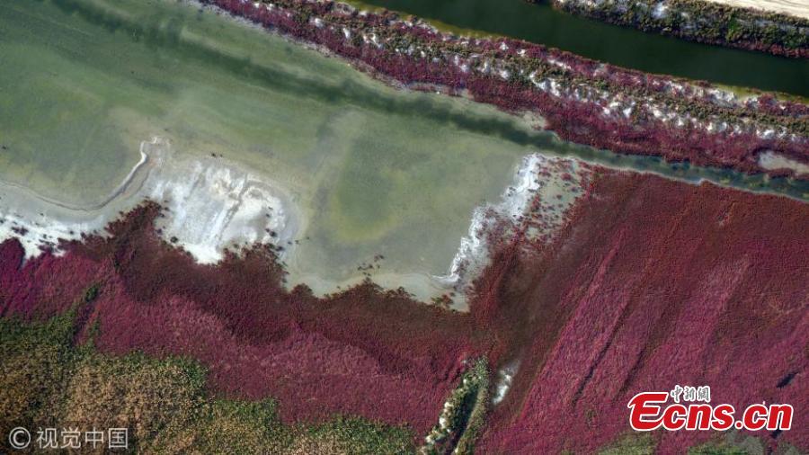 Colorful salt lake in Yuncheng city(1/3)