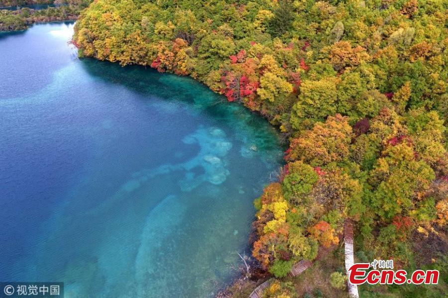 Jiuzhaigou sees first autumn after quake(1/5)