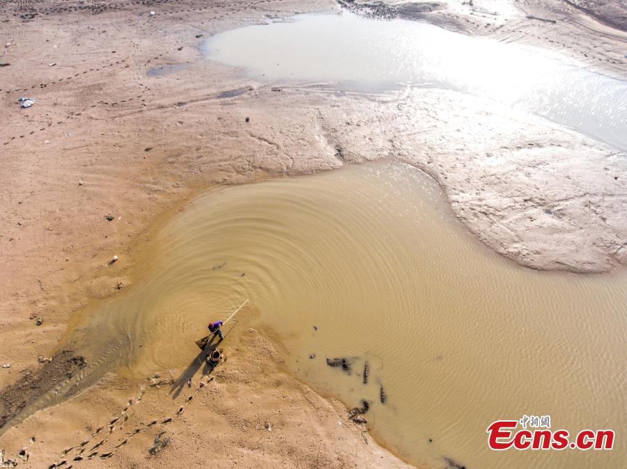 Poyang Lake, China's largest freshwater lake, enters dry season in East China's Jiangxi province on Nov 23, 2017. The downsizing of the lake started later than previous years due to the heavy rain on the upper stream region. (Photo:China News Service/Fu Jianbin)