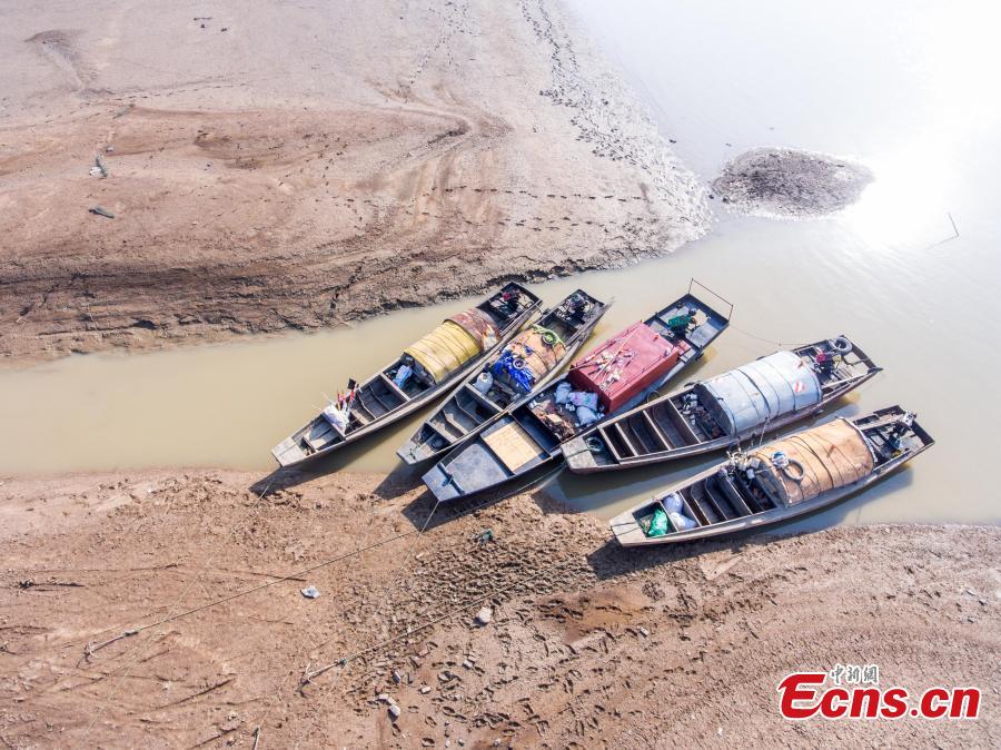 <p>Poyang Lake, China's largest freshwater lake, enters dry season in East China's Jiangxi province on Nov 23, 2017. The downsizing of the lake started later than previous years due to the heavy rain on the upper stream region. (Photo:China News Service/Fu Jianbin)</p>
