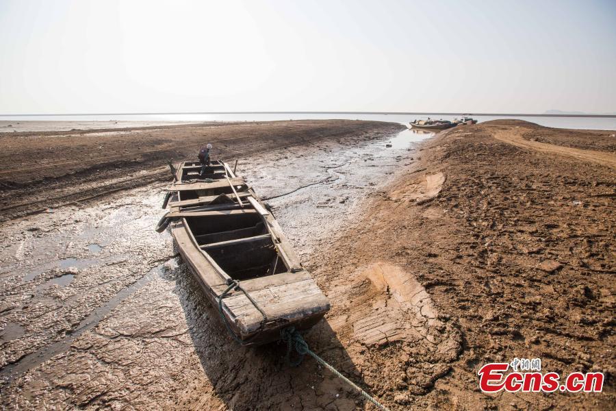 Poyang Lake, China's largest freshwater lake, enters dry season in East China's Jiangxi province on Nov 23, 2017. The downsizing of the lake started later than previous years due to the heavy rain on the upper stream region. (Photo:China News Service/Fu Jianbin)