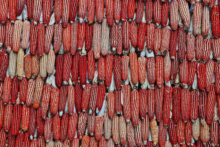 Guizhou through a photographer's eye(1/16)