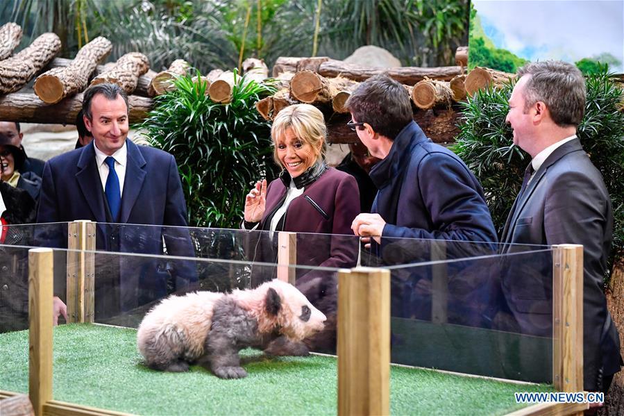 First panda cub born in France gets name, blessing(1/8)
