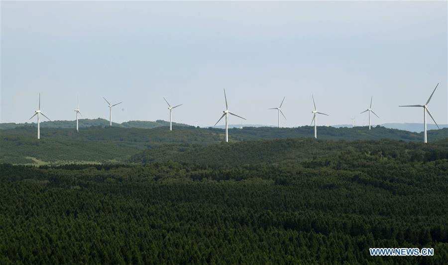 Photo taken on July 11, 2017 shows a view of the Saihanba forest in Weichang Man and Mongolian Autonomous County of Chengde City, north China's Hebei Province. China's Saihanba afforestation community on Dec. 5, 2017 was announced to be one of the top winners of the annual UN Champions of the Earth Award for its outstanding contribution to restoration of degraded landscapes, amid the national efforts to advance ecological civilization. (Xinhua/Wang Xiao)