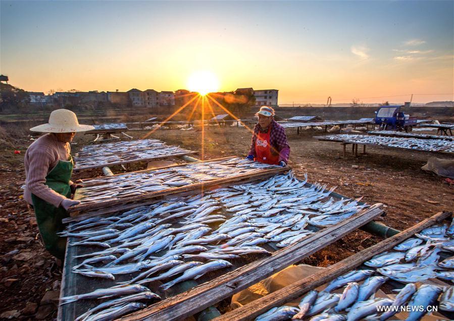 Good weather for pickling, drying fish in China's Jiangxi(1/4)