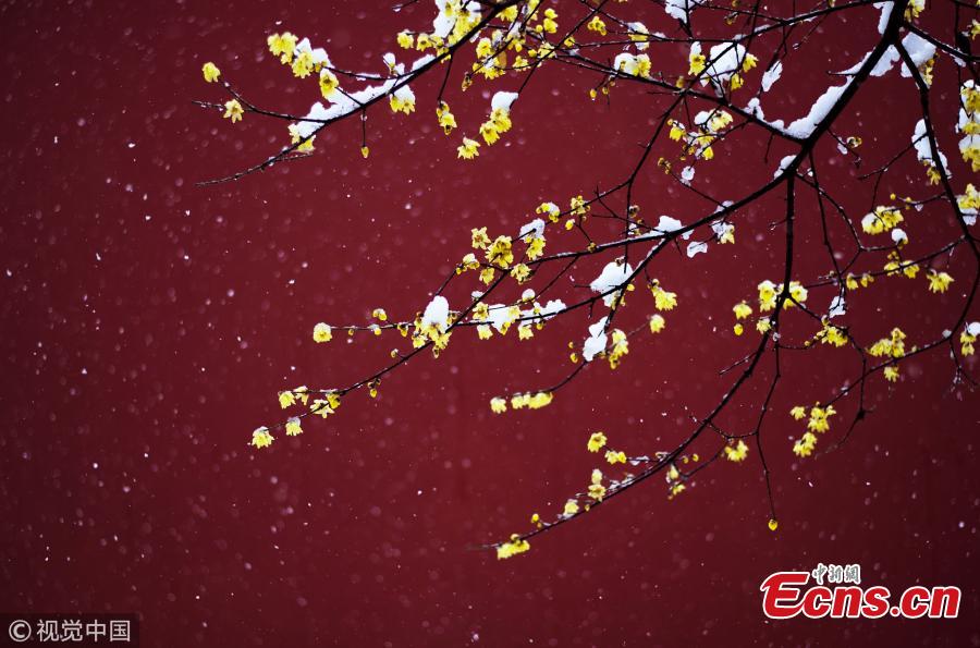 In photos: Widespread snow in China (1/8)