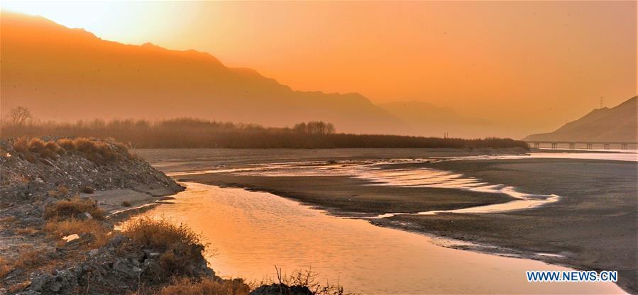 Man-made sand-break forests winter habitat for animals in Tibet(1/7)