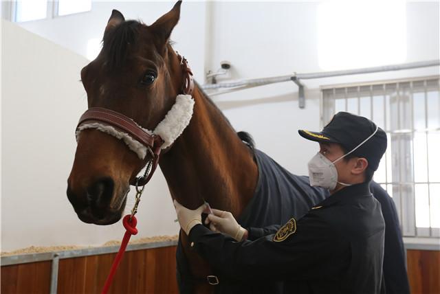 Macron gifts horse to Xi (1/4)