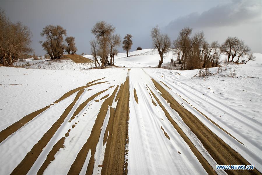Snow falls on Taklimakan Desert in NW China's Xinjiang(1/13)