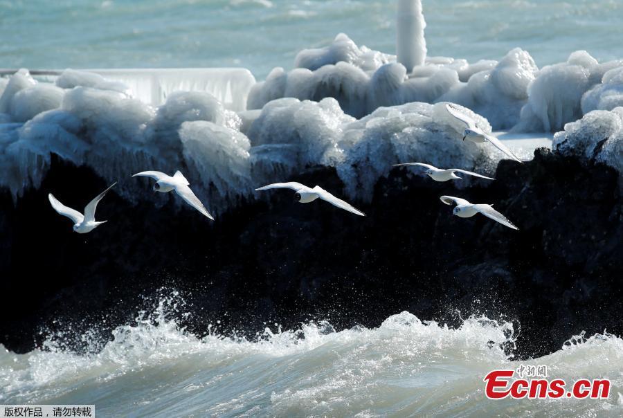 Arctic storm sets European records(1/8)