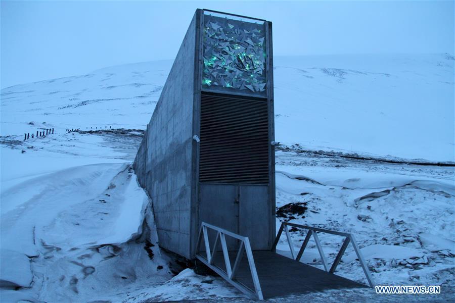 Over 1 mln seed samples stored in Arctic 'Doomsday' vault (1/4)