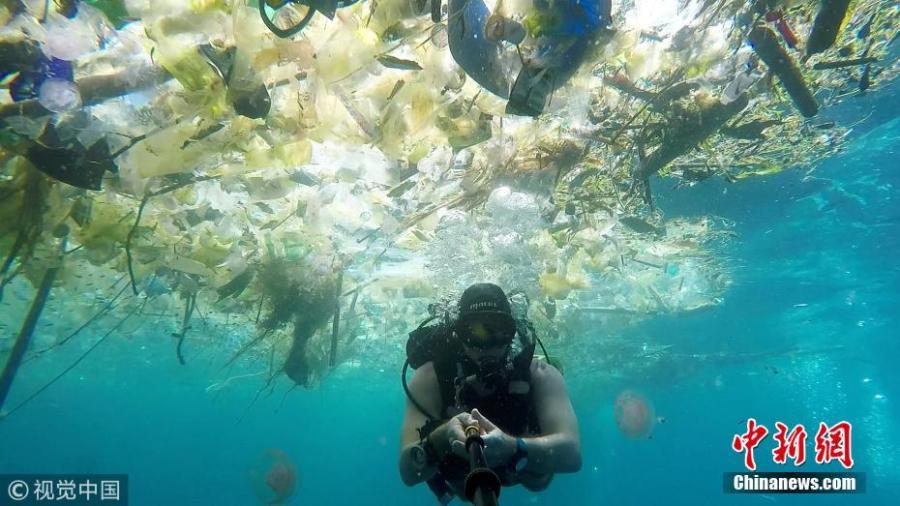 British diver swims in sea of rubbish off Bali(1/4)