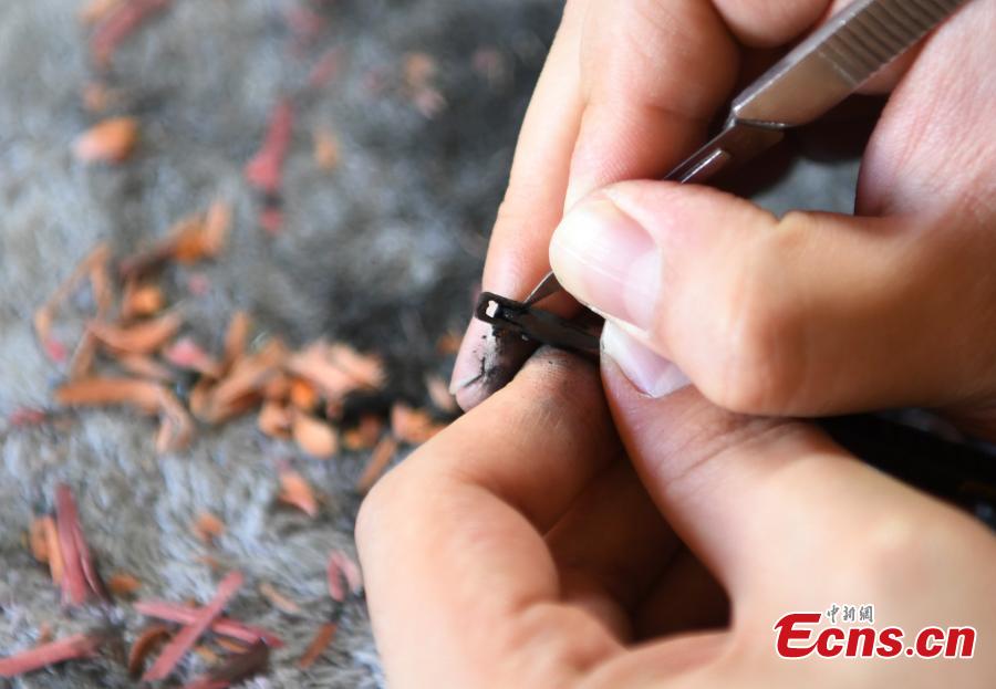 Man enjoys creating miniature statue on pencil lead(1/4)