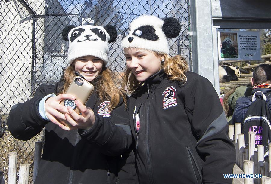 Giant pandas to be moved from Toronto Zoo to Calgary Zoo(1/6)