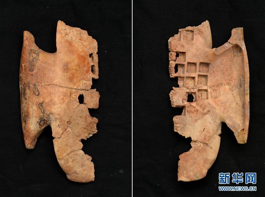 Tortoise shell oracle bones discovered in NW China ancient tomb(1/3)