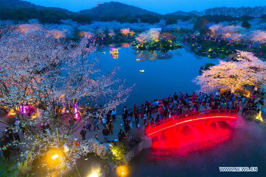 Aerial photos show cherry blossoms at East Lake in Wuhan(1/11)