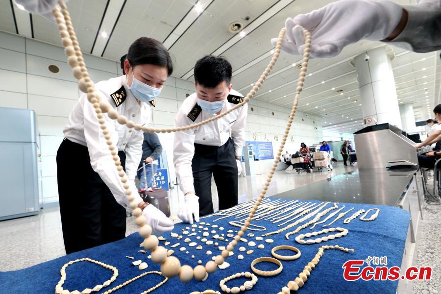 Guangzhou customs seize 24 kg of ivory products in Q1(1/2)