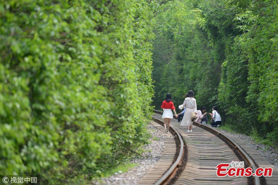 Nanjing's offbeat 'tunnel of love' attracts visitors (1/3)