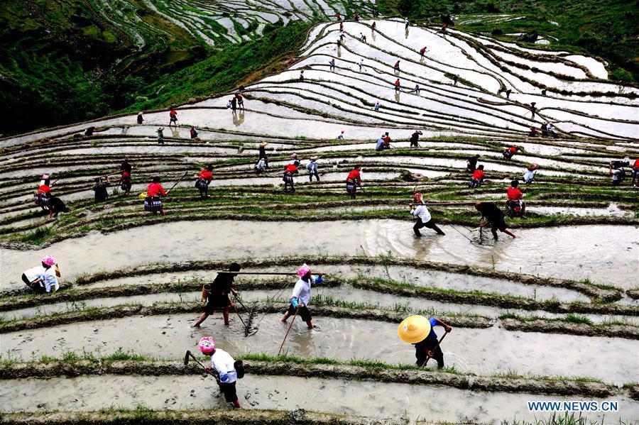 Spring plough kicks off in China's Guangxi(1/4)
