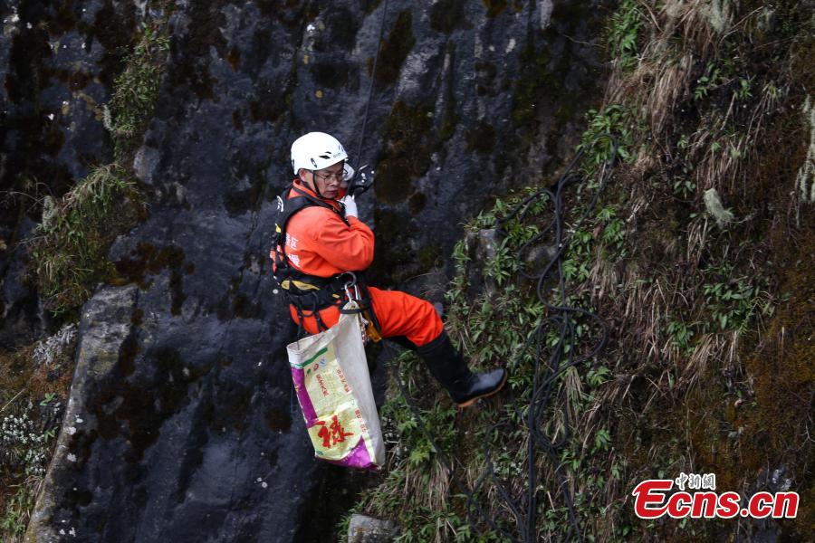 Spiderman-like workers clean Emei Mountains cliff(1/3)