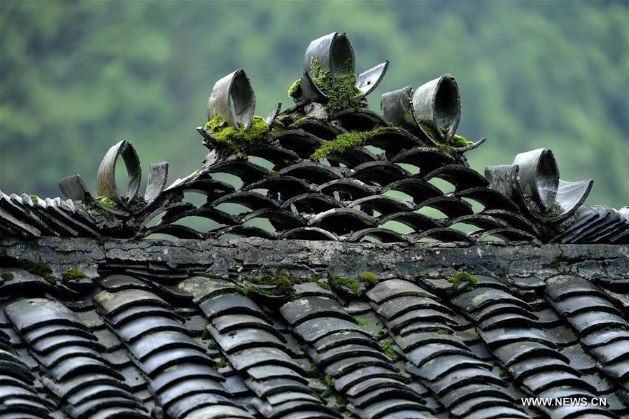In pics: ancient stilt houses of Tujia (1/6)