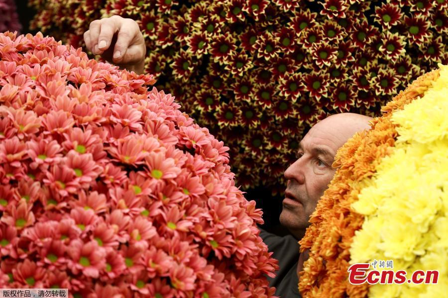 Flowers are prepared for the Chelsea in Bloom floral art show on May 22, 2018 in London, England. This year is the 13th Chelsea in Bloom and the theme is \'Summer of Love\'. The annual competition has grown dramatically each year with Chelsea’s best retailers, restaurants and hotels adorning themselves with creative designs to compete for the coveted awards. (Photo/Agencies)