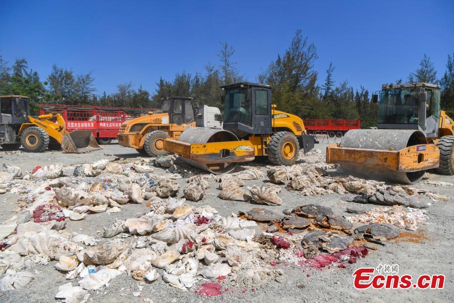 Aquatic wildlife and their products, seized in efforts to curb illegal trading in four provinces, are destroyed collectively in Sanya City, South China’s Hainan Province, May 23, 2018. Authorities destroyed more than 6,000 aquatic wildlife products that weighed about 40 tons and were valued at nearly 100 million yuan ($15 million). (Photo: China News Service/Luo Yunfei)