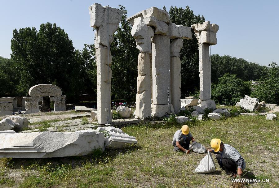 Staff members clean up weeds at ruins of Yuanying Guan (Immense Ocean Observatory) at Yuanmingyuan in Beijing, capital of China, May 23, 2018. The four-month reinforcement project of ruins of Immense Ocean Observatory at the historical site of Yuanmingyuan started lately.(Xinhua/Luo Xiaoguang)