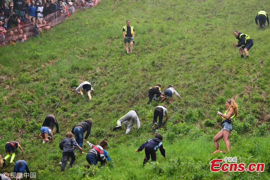 In a centuries-old tradition unlike any other, daring racers and spectators alike flock to Cooper\'s Hill in Brockworth, England, to witness the village\'s annual cheese rolling race.The event entails racers chasing a rolled wheel of Double Gloucester cheese down a steep hill. The run is extremely dangerous, with many racers tumbling all the way down the 200-yard slope. The day features several races for men, women and children. (Photo/VCG)