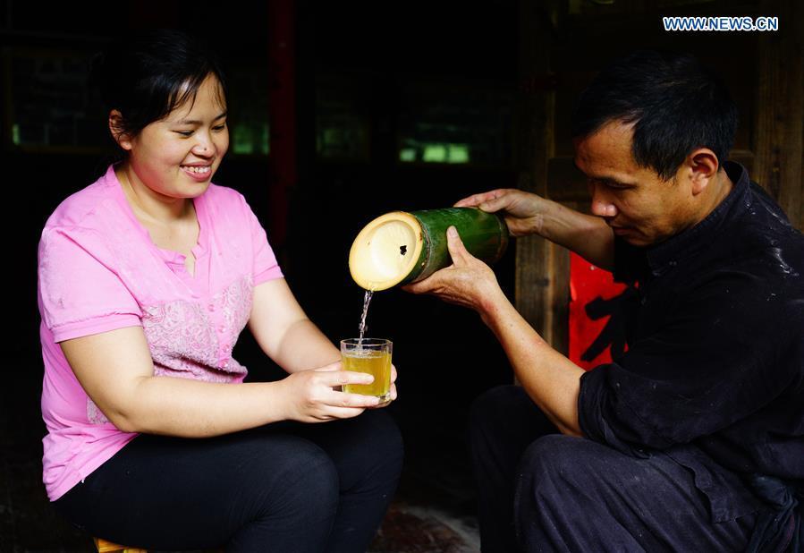 Villagers taste bamboo wine at Daliu Village, Longji Town, Longsheng County, south China\'s Guangxi Zhuang Autonomous Region, May 29, 2018. Best known for its rich bamboo materials, Longji has developed bamboo wine industry in recent years. The bamboo wine, usually taking three or four months for brewing in growing bamboos, is popular here. (Xinhua/Huang Yongdan)
