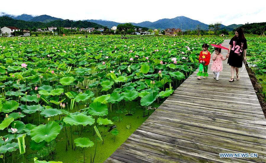 Tourists visit a lotus pond in Wufu Township of Wuyishan City, southeast China\'s Fujian Province, June 1, 2018. The town developed local economy by combining farming and tourism. (Xinhua/Zhang Guojun)