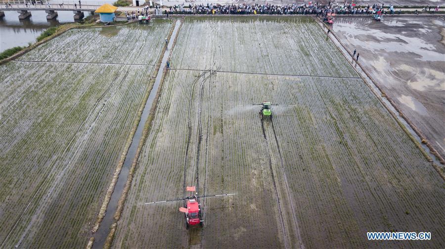 In this aerial photo taken on June 2, 2018, two unmanned sprayers work in a field during the demonstration of an agricultural pilot program featuring unmanned production process in Xinghua, east China\'s Jiangsu Province. (Xinhua/Li Xiang)