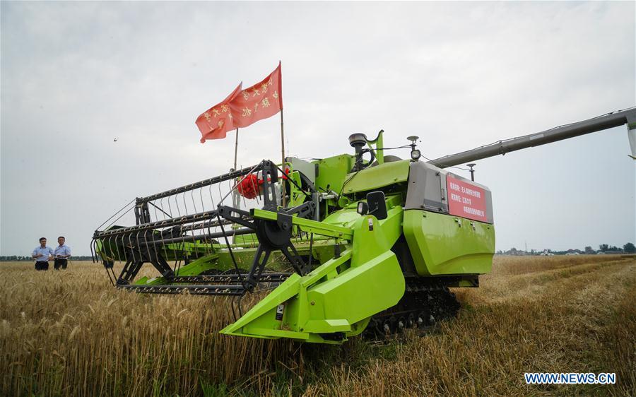An unmanned combine harvester works in a field during the demonstration of an agricultural pilot program featuring unmanned production process in Xinghua, east China\'s Jiangsu Province, June 2, 2018. (Xinhua/Li Xiang)